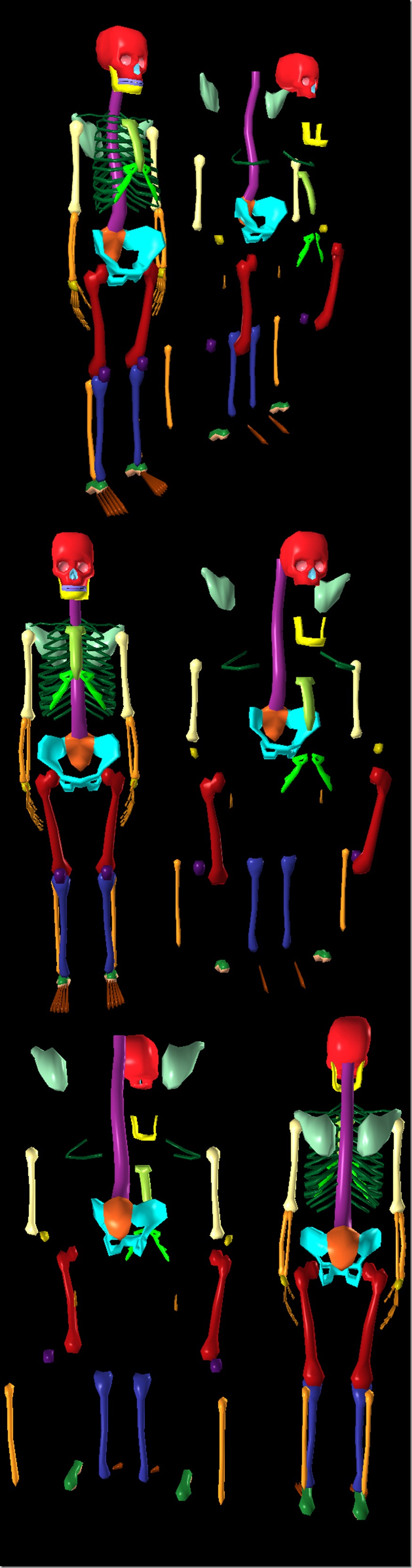skeleton_bonemap
